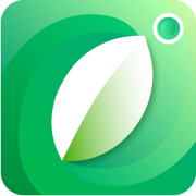 Plant Identifier App