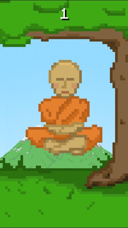 Meditating Monk