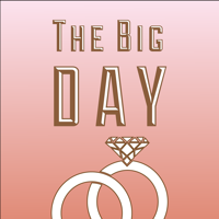 Wedding App The Big Day