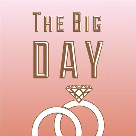 Wedding App: The Big Day Читы