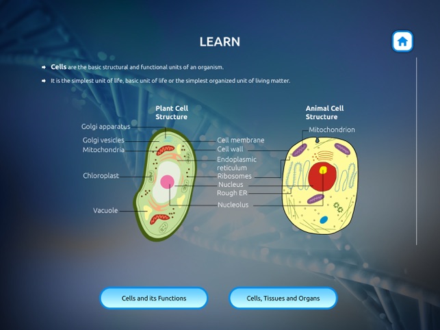 Biology Cell Structure on the App Store