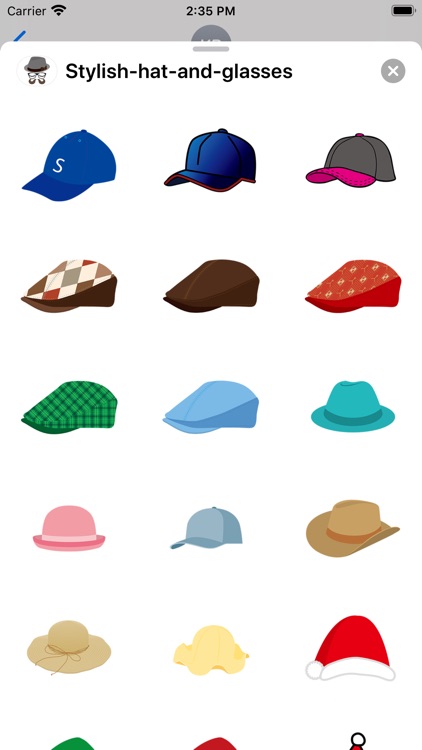 Stylish hat and glasses