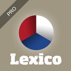 Activities of Lexico Vraagbegrip Pro