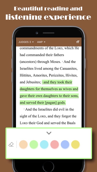 Holy Bible-Daily Study, Audio screenshot 3