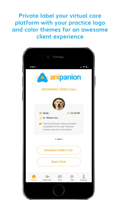 Anipanion