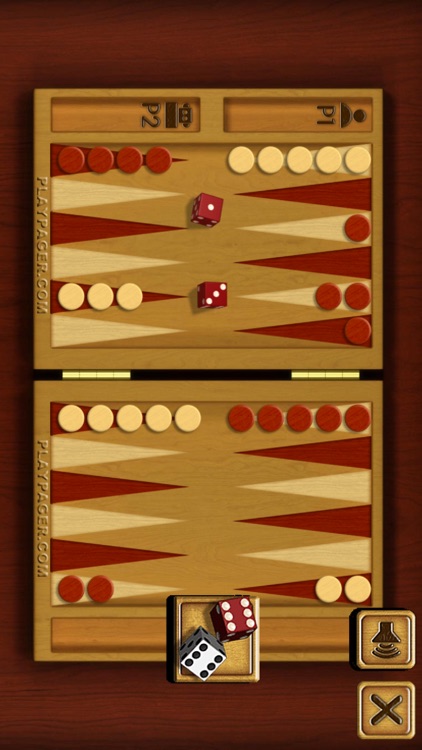 PP Backgammon