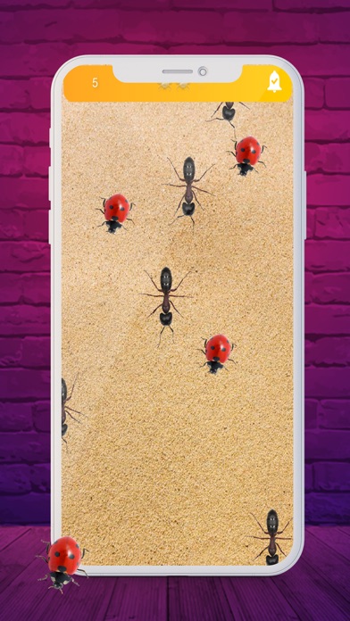 Ants Roblox Profile