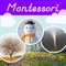 Icon Montessori Seasons & Weather