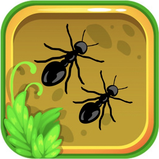 Ant Colony 3D Puzzle