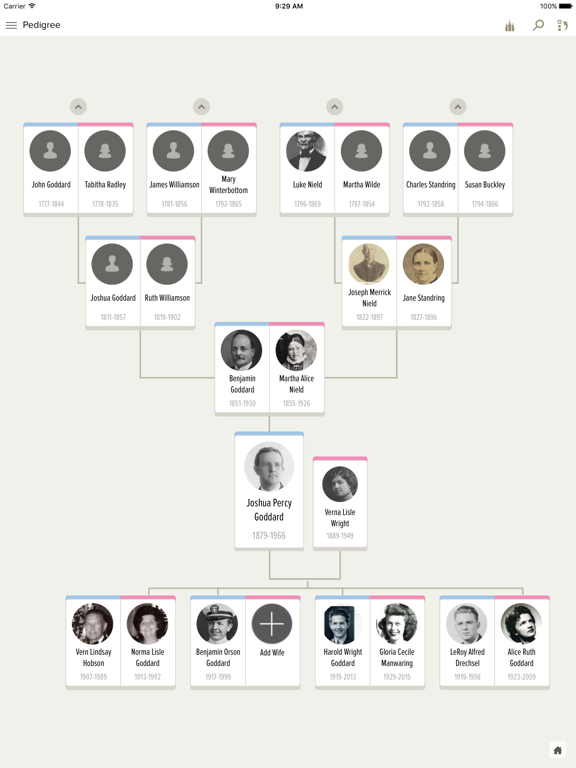 iPad Image of FamilySearch Tree
