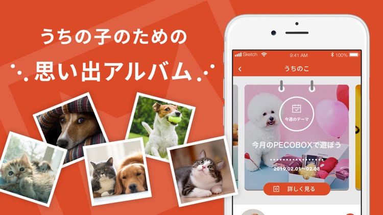 PECO(ペコ):可愛いどうぶつ動画・迷子サポートサービス screenshot-3
