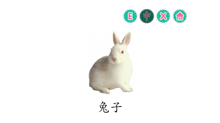 PicDic - Animals Eng-Chinese