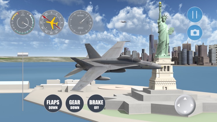 New York Flight Simulator