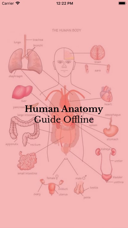 Human Anatomy Guide Offline