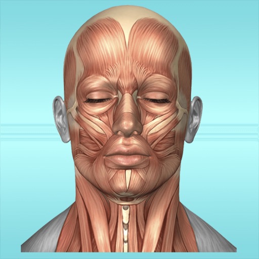 Muscle Anatomy Reference Guide iOS App