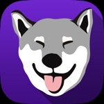 PetnPamper - Dog Walkers  Pet