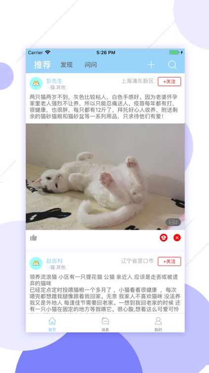 萌哒-猫狗领养给萌宠一个家