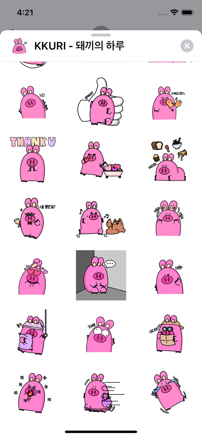 KKURI - 돼끼의 하루