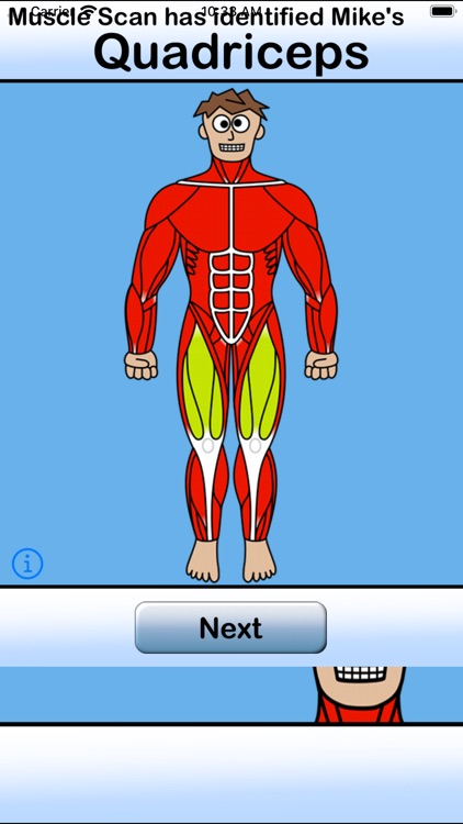 Muscle Scan Mike V2