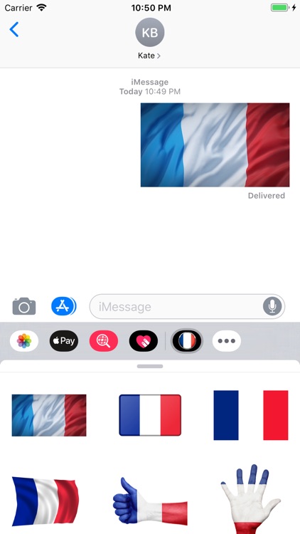 French Flag Stickers