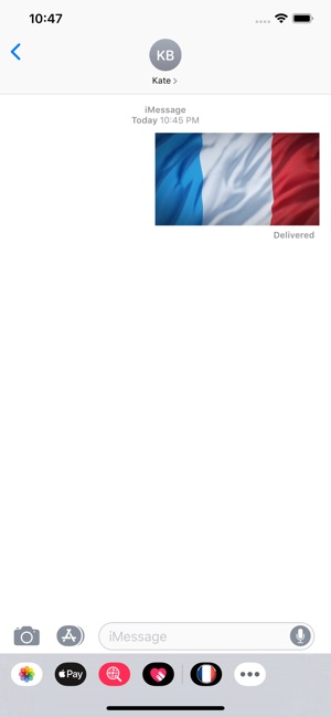 French Flag Stickers(圖1)-速報App