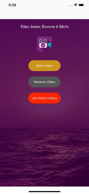 Video Joiner Mute & Reverse