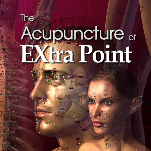 The Acupuncture of Extra Point