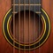 Playing the guitar has never been easier with #1 guitar playing app