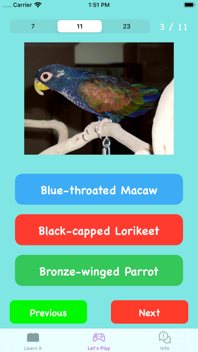 Guess parrot quiz screenshot 4