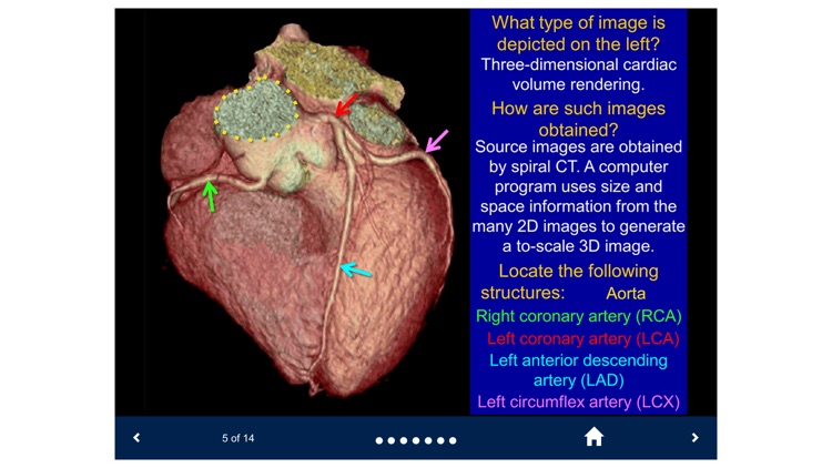 Basic Radiology - SecondLook screenshot-3