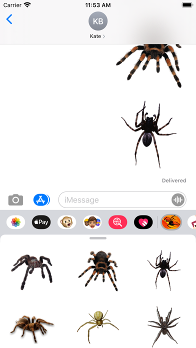 Spider Collection screenshot 4