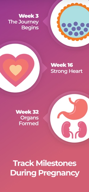 Pregnancy & Baby Tracker WTE(圖3)-速報App