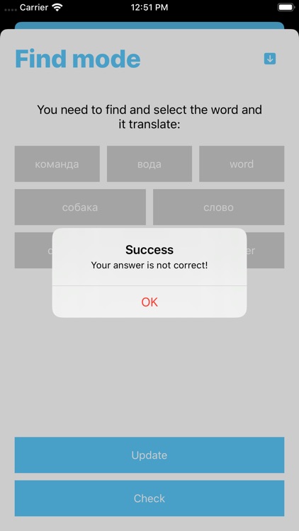 Find correct translation screenshot-4