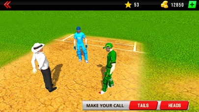 Real World Cricket League 19 screenshot 2
