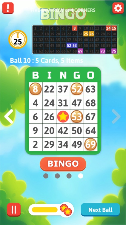 Bingo Masters Professional