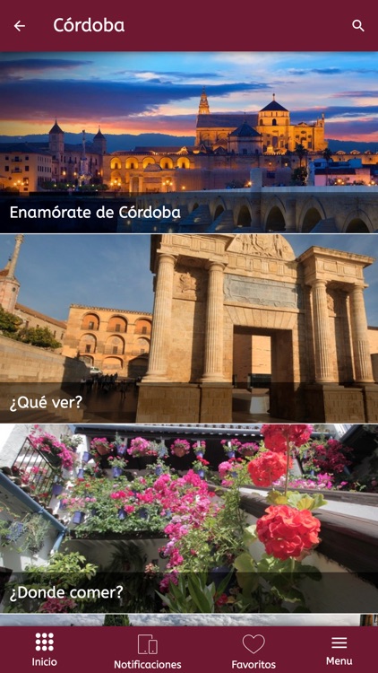 Palacio de Congresos Córdoba screenshot-4