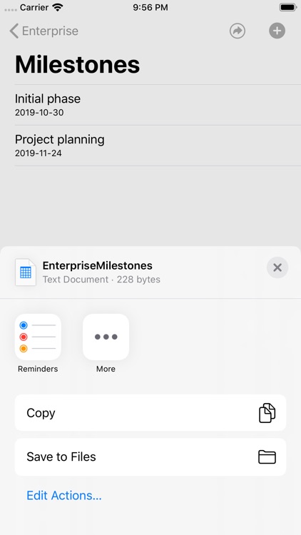 PM Issue Log screenshot-8