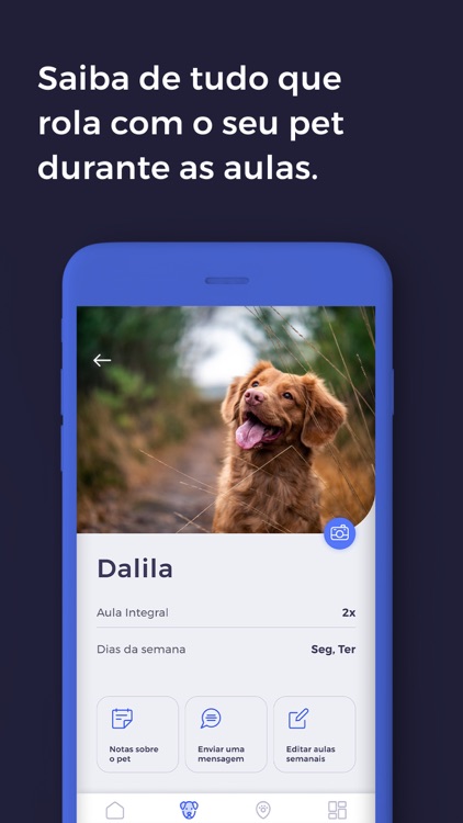 daypet screenshot-4