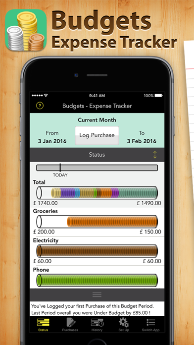 How to cancel & delete Budgets - Expense Tracker from iphone & ipad 1