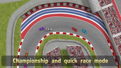 Ultimate Racing 2D screenshot 3