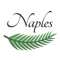 Naples Trip Guide