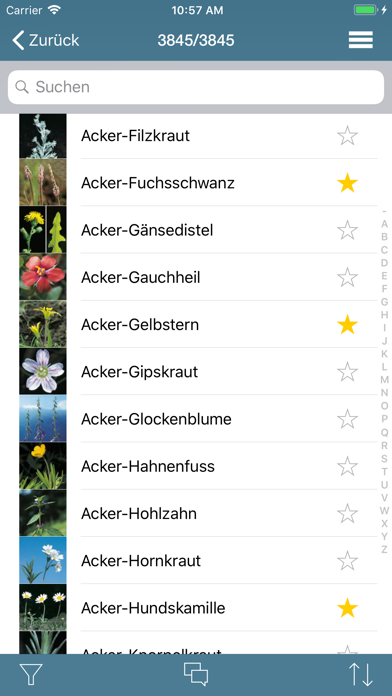 How to cancel & delete Flora Helvetica Pro deutsch from iphone & ipad 2