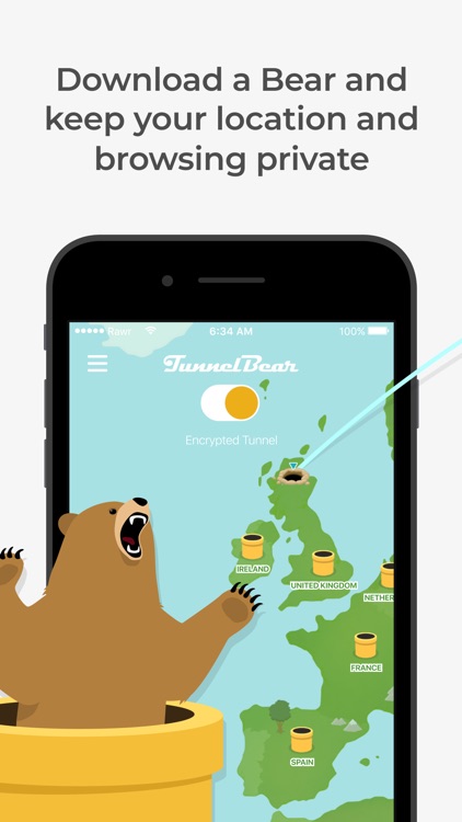 TunnelBear: Secure VPN & Wifi screenshot-0