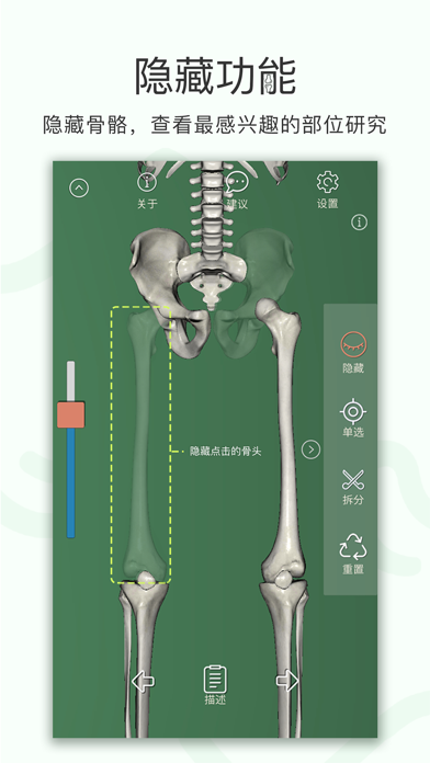 人体骨骼-3D screenshot 3