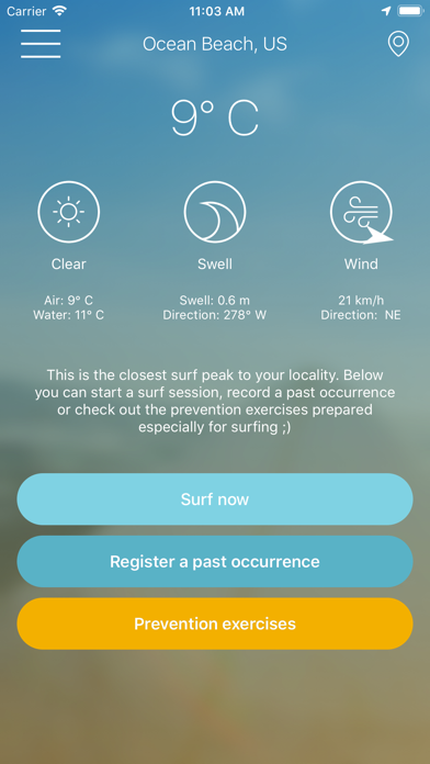 Surf Information Data screenshot 2