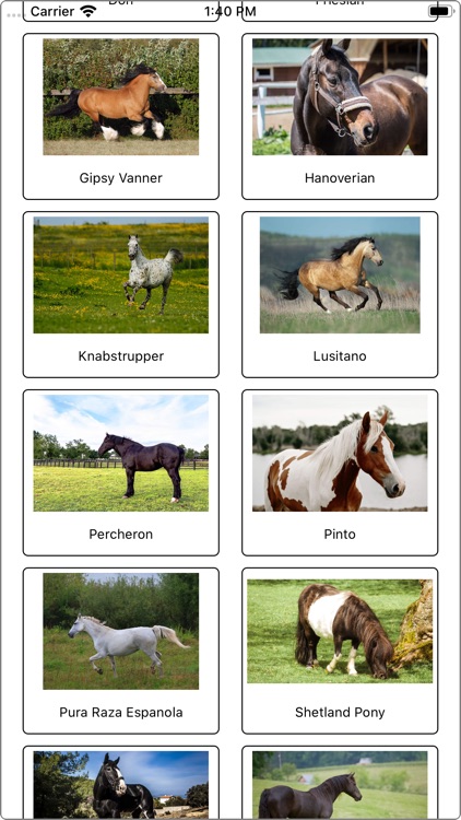 Learn horse breeds