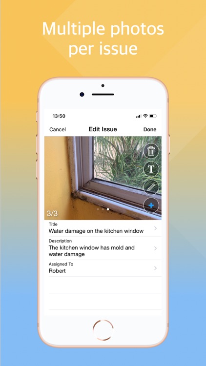 Audit Anything Pro