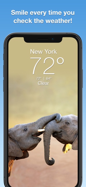 Wildlife Wallpaper Weather(圖1)-速報App