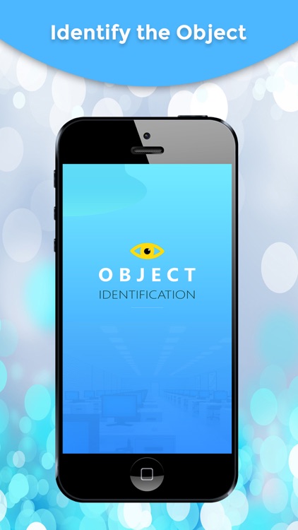 Object Identification
