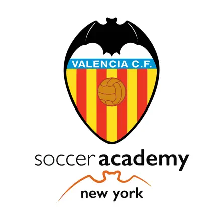 Valencia CF Academy NY Читы